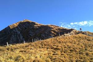 Wanderung Wimmis - Ahorni - Niesen