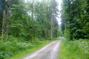 Wanderung Rüschegg Heubach - Längeneybad - Eywald