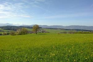 Wanderung Forch - Maur - Uster