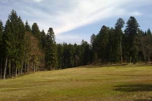 Wanderung Adetswil - Hittnau - Pfäffikon ZH