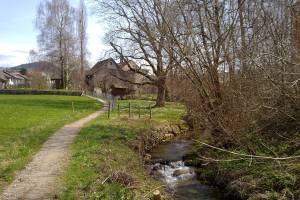 Wanderung Adetswil - Hittnau - Pfäffikon ZH