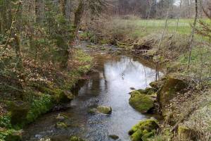 Wanderung Adetswil - Hittnau - Pfäffikon ZH