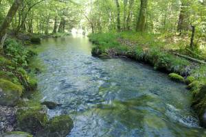 Glütschbach Wanderung Allmendingen - Gwatt