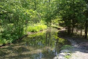 Glütschbach Wanderung Allmendingen - Gwatt