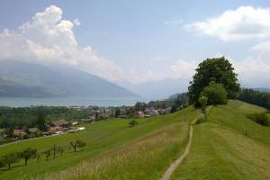 Strättlighügel Wanderung Allmendingen - Gwatt