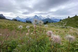 Blick auf Eiger, Mönch, Jungfrau