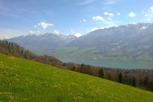 Sarnersee