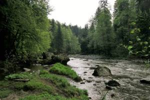 Wanderung Sihlbrugg - Sihlsprung - Schönenberg