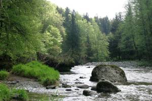 Wanderung Sihlbrugg - Sihlsprung - Schönenberg