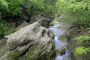 Wanderung Sihlbrugg - Sihlsprung - Schönenberg