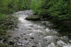 Wanderung Sihlbrugg - Sihlsprung - Schönenberg