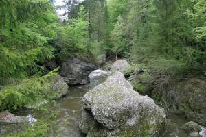 Wanderung Sihlbrugg - Sihlsprung - Schönenberg