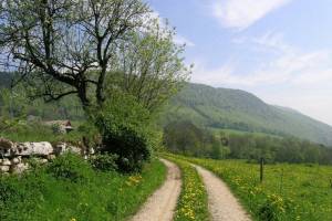 Wanderung Péry - Montagne de Romont - Lengnau