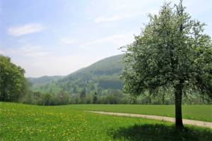 Wanderung Péry - Montagne de Romont - Lengnau