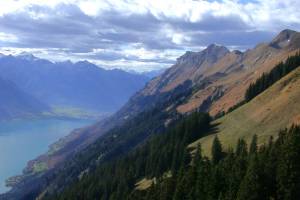 Wanderung Planalp - Bitschi - Oberried