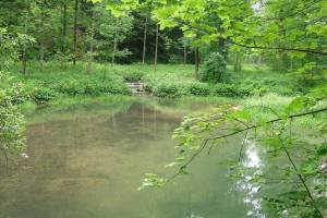 Wanderung Rothenfluh-Tecknau