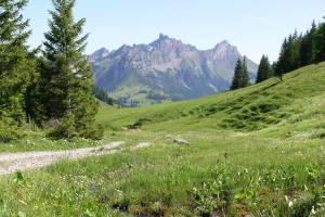 Flöschhorn Lenk