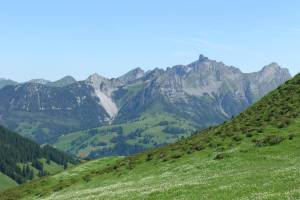 Flöschhorn Lenk