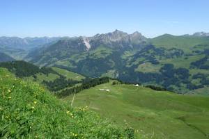 Flöschhorn Lenk