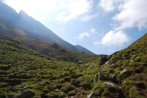 Wanderung Haldigrat - Brisen - Klewenalp