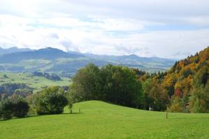 Wanderung Stein - Teufen - Trogen Eggen-Höhenweg