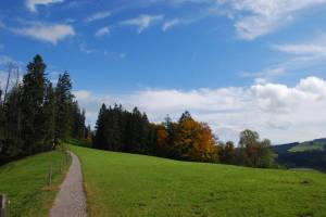 Wanderung Stein - Teufen - Trogen Eggen-Höhenweg