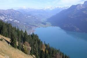 Wanderung Planalp - Bitschi - Oberried