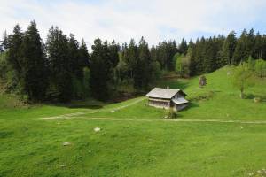 Wanderung Brünigpass - Halgenfluh - Hasliberg/Hohfluh