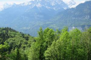 Wanderung Brünigpass - Halgenfluh - Hasliberg/Hohfluh