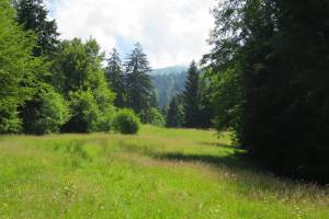 Stoffelberg-Allmi Wanderung Aeschiried - Leissigen 