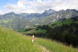 Zweisimmen