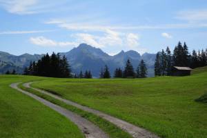 Wanderung Zweisimmen - Holaas