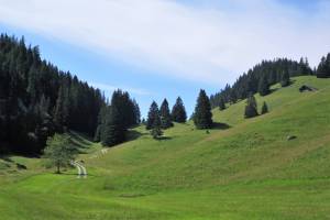 Wanderung Zweisimmen - Holaas