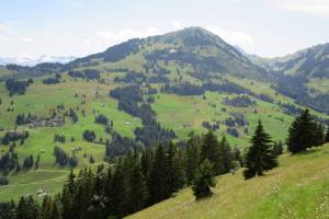 Wanderung Zweisimmen - Holaas