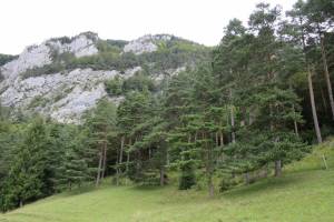 Wanderung Wolfsschlucht - Welschenrohr