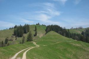 Wanderung Langnau - Ober Frittenbach