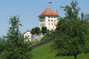 Schloss Heidegg