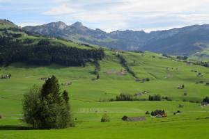 Alpstein Wanderung Sammelplatz - Hoher Hirschberg - Appenzell