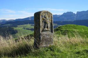 Grenzstein im Aufstieg zur Hundwiler Höhi