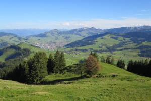 Abstieg von der Hundwiler Höhi nach Appenzell