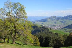 Abstieg von der Hundwiler Höhi nach Appenzell