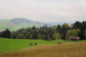 Wanderung Gontenbad - Kaubad