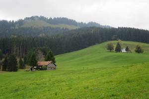 Wanderung Gontenbad - Kaubad