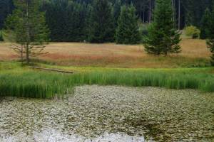 Wanderung Gontenbad - Kaubad