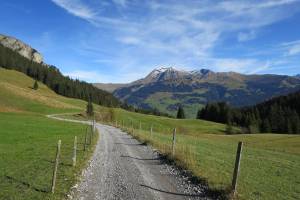 Aufstieg Lenk-Trüttlisbergpass