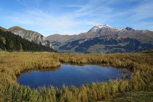 Aufstieg Lenk-Trüttlisbergpass