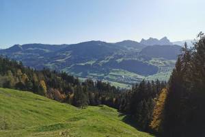 Wanderung Sattel - Wildspitz - Goldau