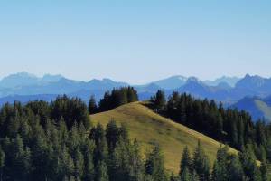 Wanderung Sattel - Wildspitz - Goldau