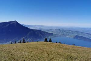 Wanderung Sattel - Wildspitz - Goldau