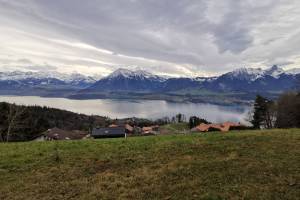 Vesuv Thunersee